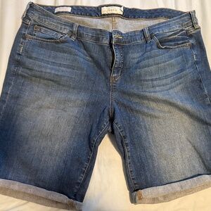 Torrid shorts